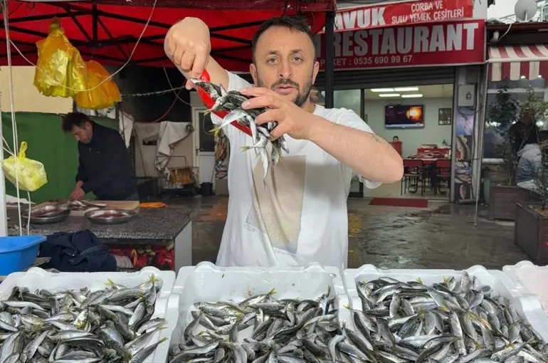 Zonguldak’ta istavrit tezgahta 100 liradan satıldı
