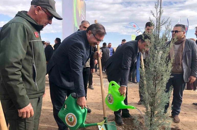 11 Kasım Milli Ağaçlandırma Günü’nde 20 bin fidan dikildi 