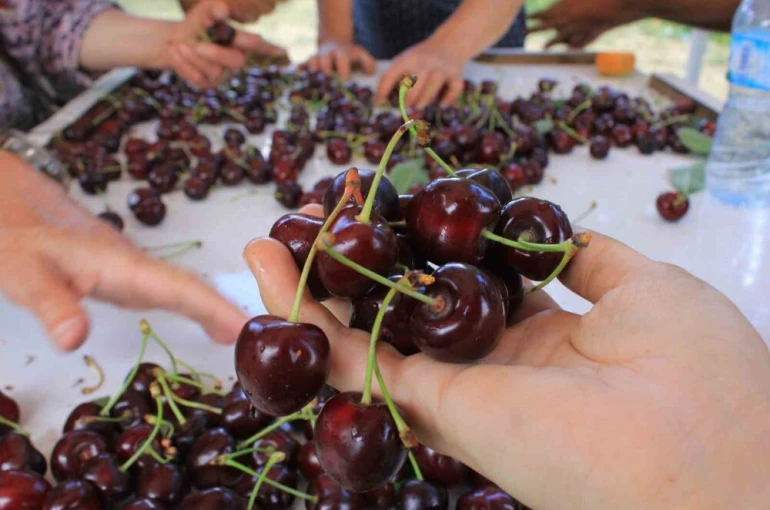 15 Aralık’ta okullarda "Coğrafi İşaret Günü" kutlanacak 