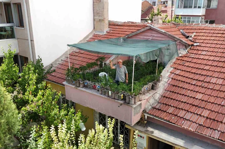 18 metrekarelik terasını 200 fideyle bahçeye çevirdi, 8 saatini burada harcıyor