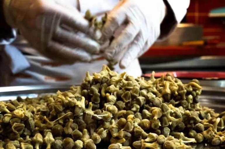 2 Tonluk Bamya Dosyasında Yeni Gelişme