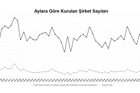 2026’nın ilk 7 ayında kurulan şirket sayısı yüzde 7,4 arttı