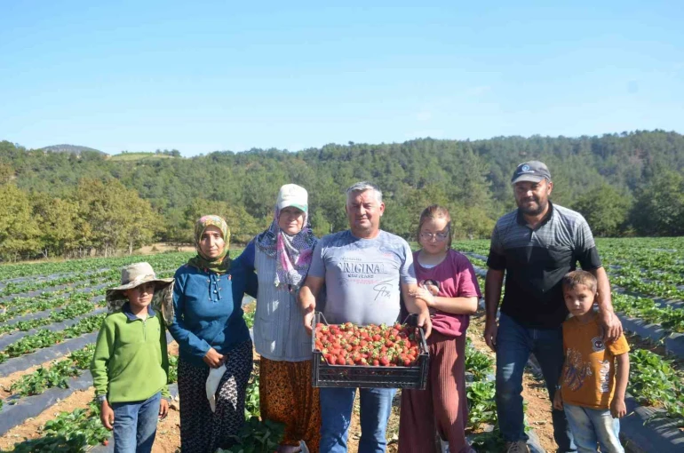 25 yıl yaptıkları işi yürütemediler, son çare olarak bunu buldular 