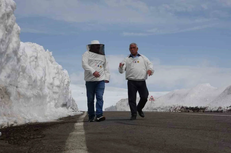 2581 rakımda arıcılardan yol açma çağrısı 