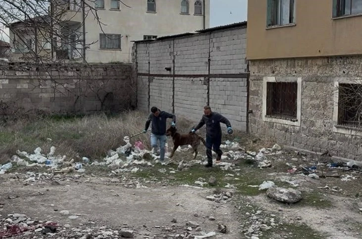 3 yaşındaki çocuğuna köpek saldıran baba: "Köpeğin çocuğumuzu bırakması için çok uğraştık" 