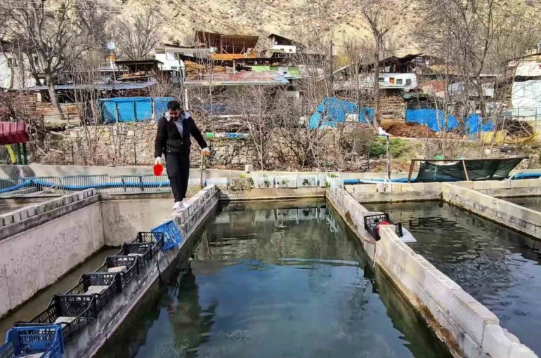 300 bin balık telef oldu; Genç girişimci ayakta kalma mücadelesi veriyor 