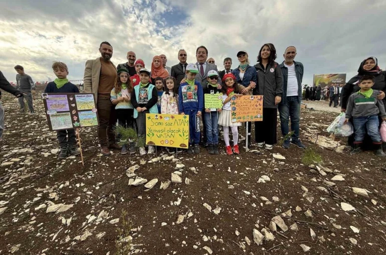 4 bin 500 fidan yanan ormanlık alanda toprakla buluştu