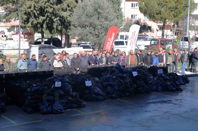 50 bin adet üzümsü fidan dağıtıldı 