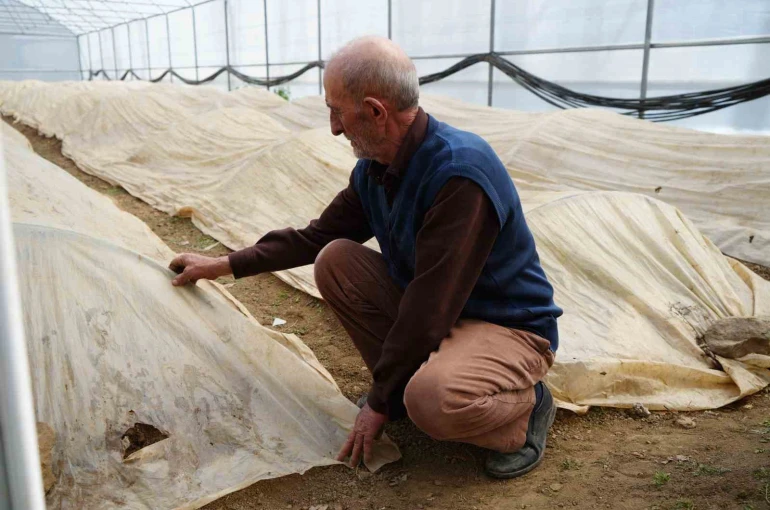 76 yaşındaki Bayburtlu üretici ata tohumları için zirai don nöbetinde 