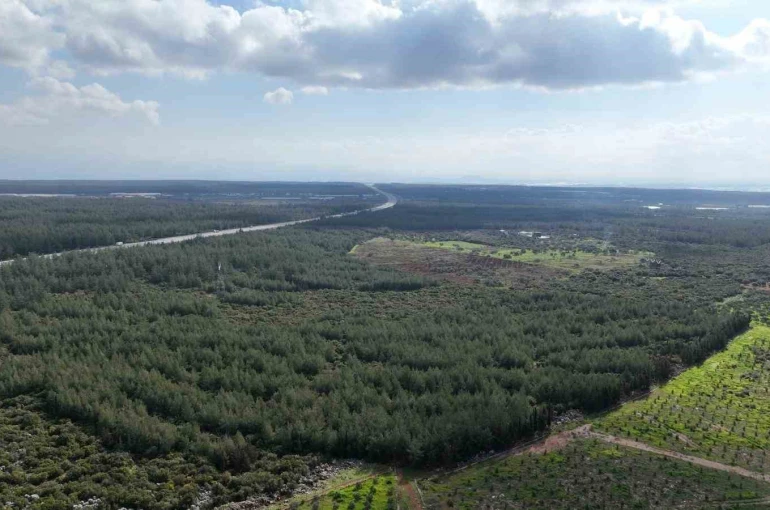 "81 İlde 81 Orman" projesi ilkbahar dikimleriyle devam ediyor 