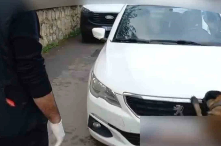 92 kilo bonzai hammaddesi taşıyan 2 şüpheli gözaltına alındı