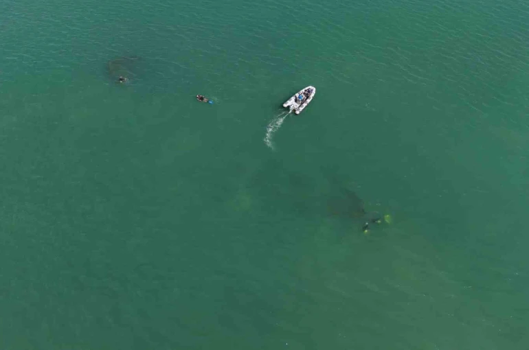 92 yıl yıl Ordu’da batmıştı: Rus şilebi dron ile görüntülendi, dalgıçlar gemiyi ilk kez keşfetti 