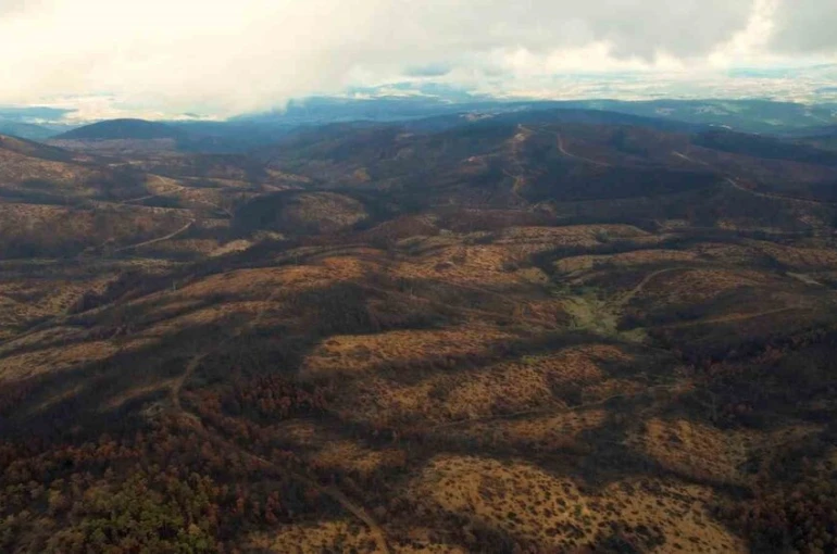 953 hektar kül oldu, Bursa’yı yeniden yeşertecek 300 bin fidan için ilk adım atıldı 