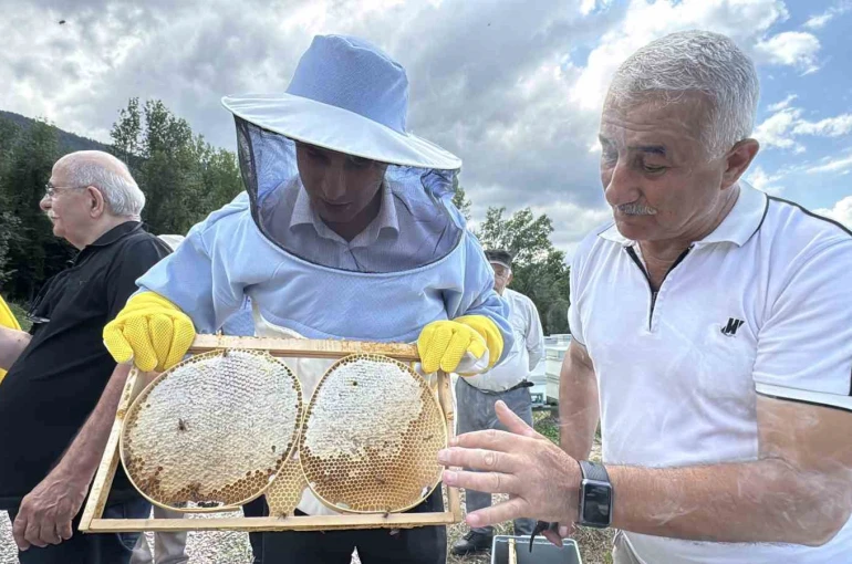 AB tescilli Yenice ıhlamur balında hasat başladı 