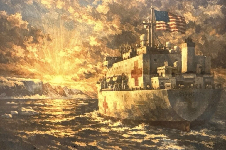 ABD’den Grönland’a hastane gemisi 