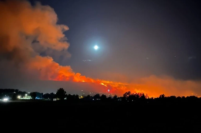 ABD’nin Nevada eyaletindeki orman yangını büyüyor: 61 bin dönümlük alan küle döndü