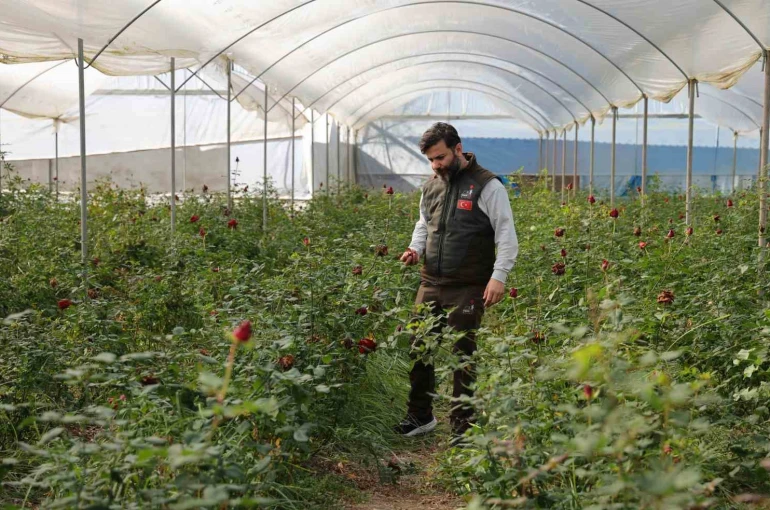 Adana’da sevgililerin gülleri dalında kurudu