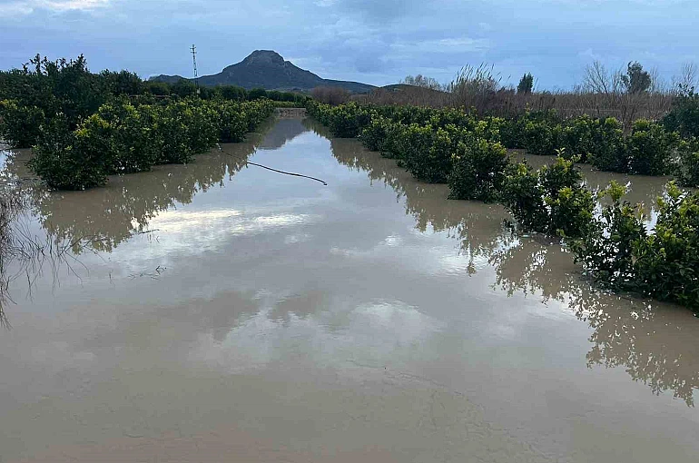 Adana’da şiddetli yağış, tarlaları sular altında bıraktı 