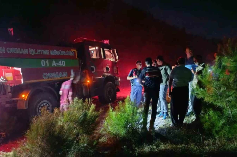 Adana’daki orman yangını kontrol altına alındı 
