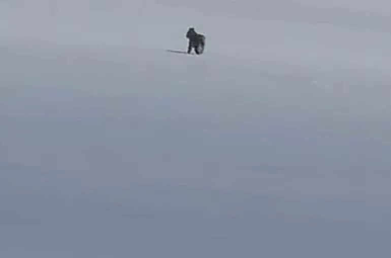 Adilcevaz’da kar üzerinde vaşak görüntülendi 