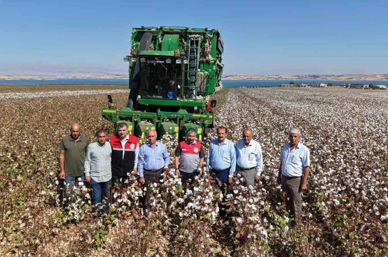 Adıyaman’da 2025 yılı pamuk hasadı başladı