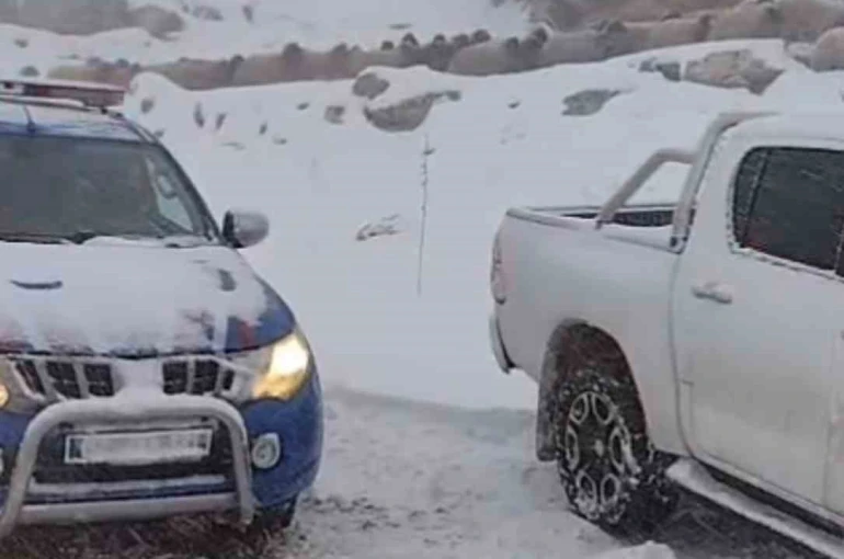 Adıyaman’da dağda mahsur kalan iki çoban ve 800 küçükbaş hayvan kurtarıldı