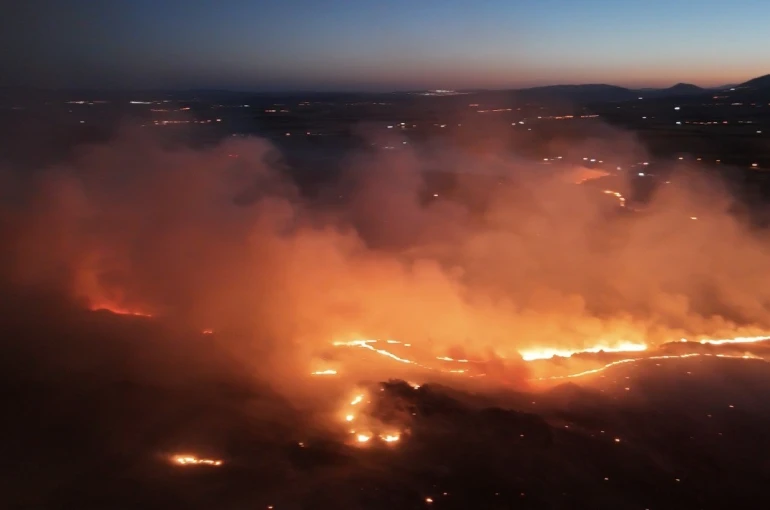 Adıyaman’da ormanlık alanda yangın 