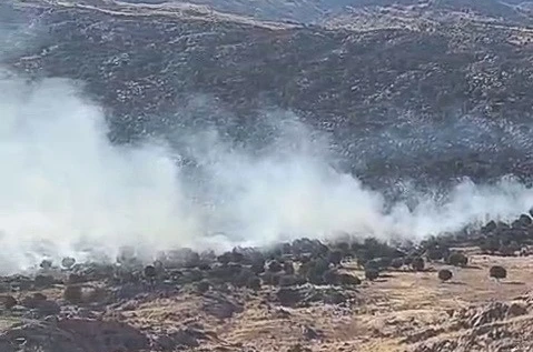 Adıyaman’da ormanlık alanda yangın 