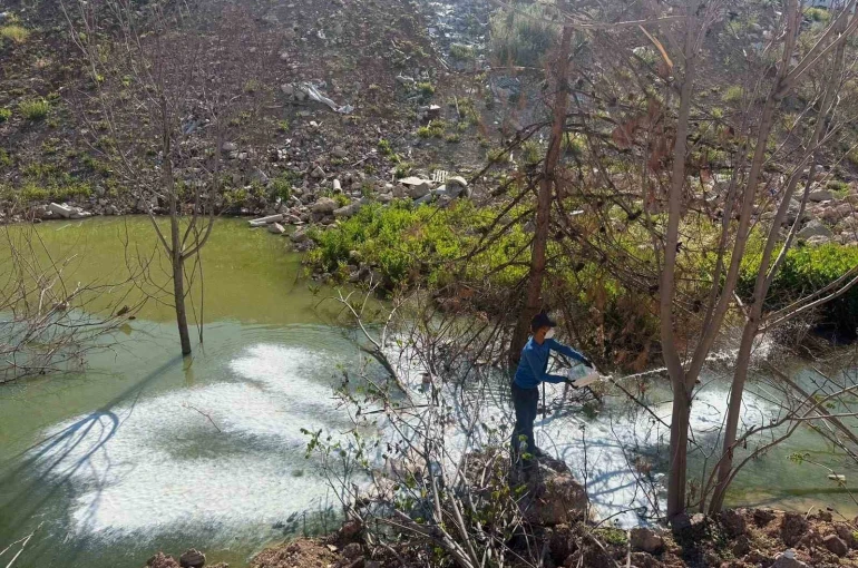 Adıyaman’da sivrisinek ve haşerelere karşı ilaçlama çalışması