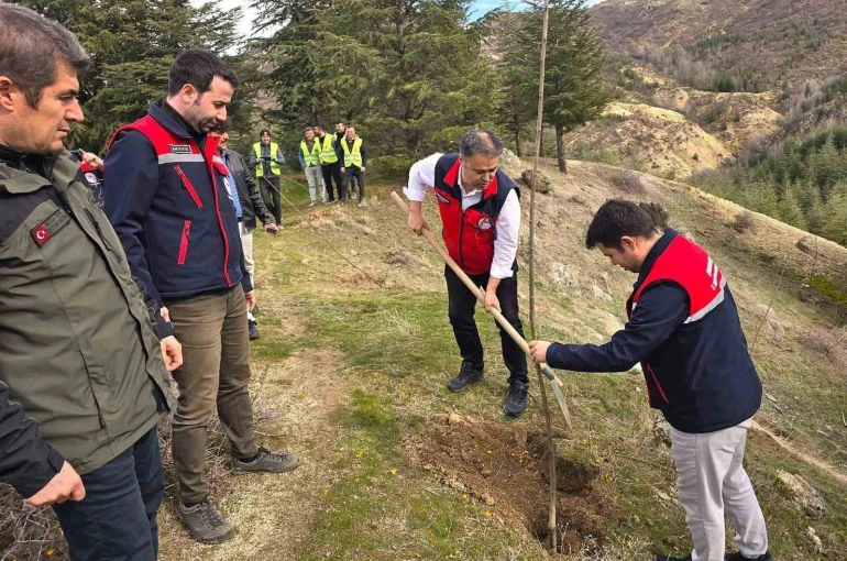 Afyonkarahisar’da 2 bin kestane fidanı toprakla buluşturuldu 