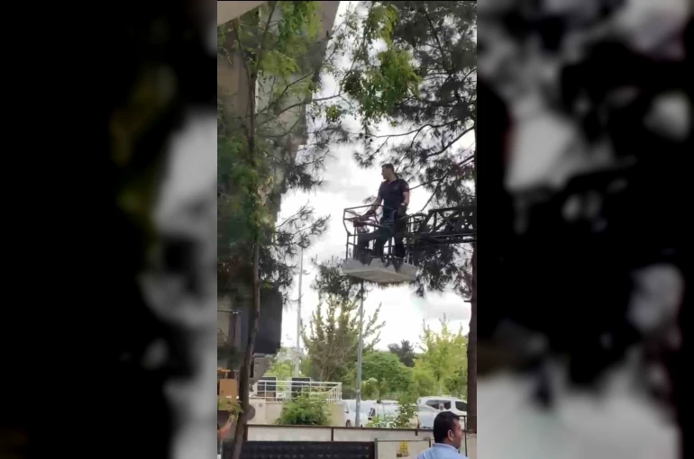 Ağaçta mahsur kalan kediyi itfaiye kurtardı 