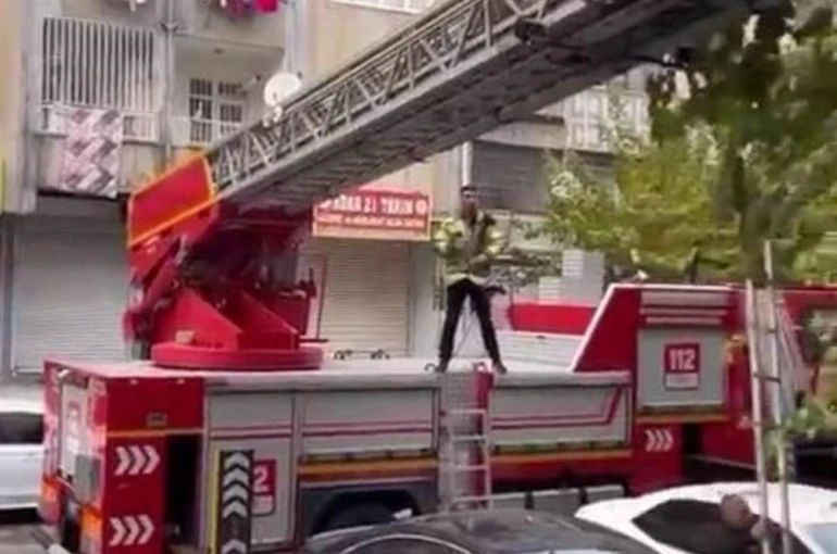 Ağaçta mahsur kalan kediyi kurtarmak için seferber oldular 