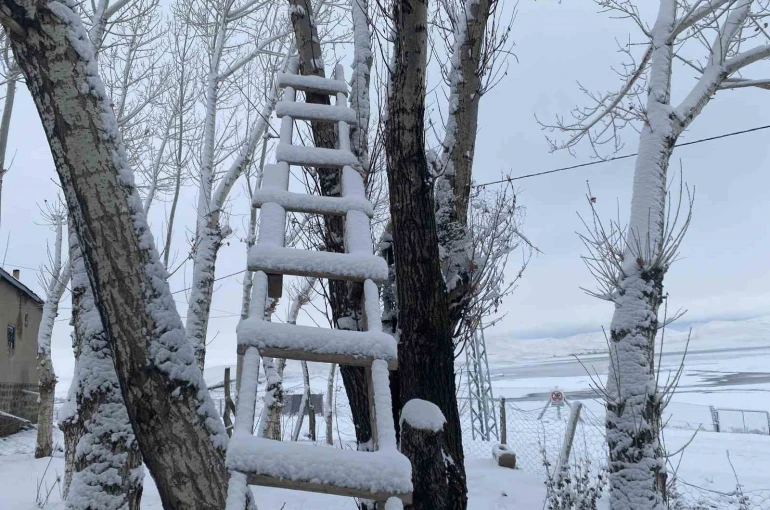 Ağrı beyaza büründü 