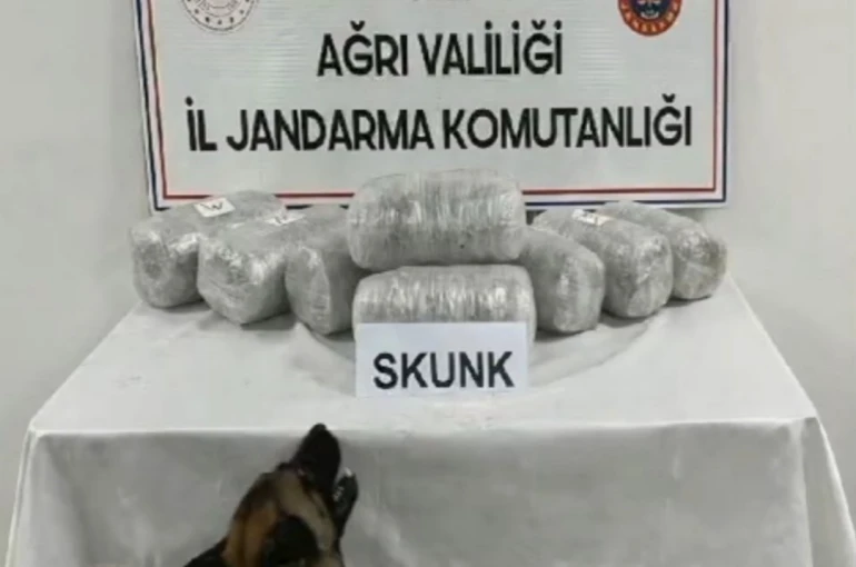 Ağrı’da 10 kilogram skunk ele geçirildi, 1 şüpheli tutuklandı 