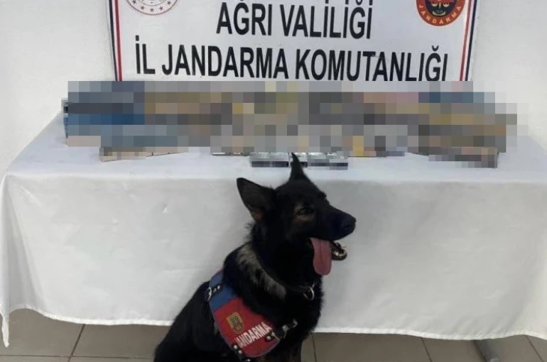 Ağrı’da bin 227 paket gümrük kaçağı sigara ele geçirildi