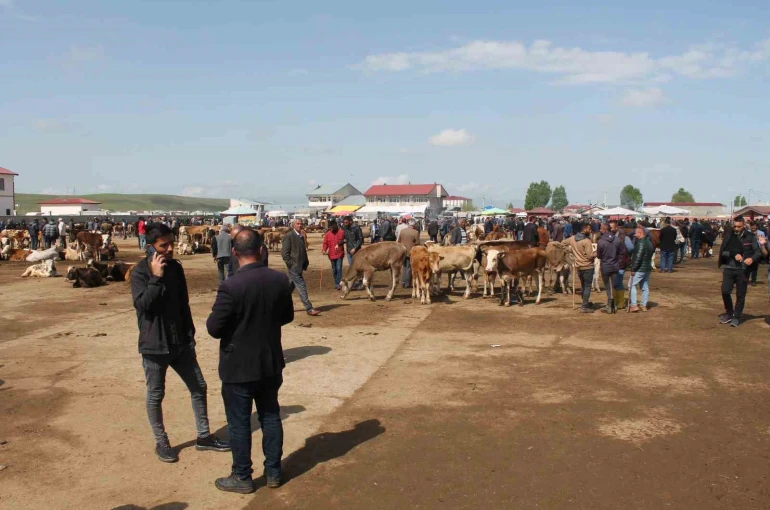 Ağrı’da Canlı Hayvan Borsası 10 Eylül’de açılacak 
