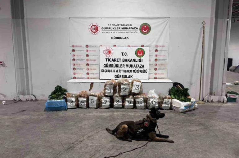 Ağrı’da Gürbulak Sınır Kapısı’nda 51 kilo 520 gram esrar ele geçirildi 