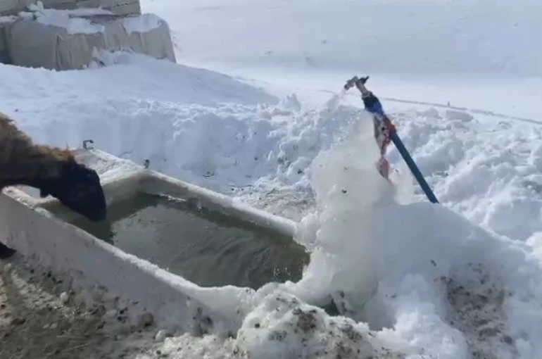 Ağrı’da soğuk hava etkisini göstermeye devam ediyor