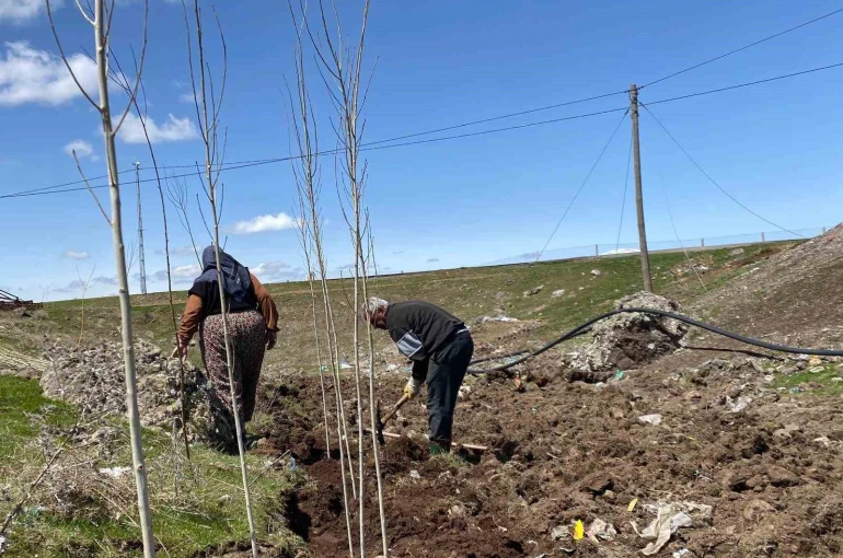 Ağrı’da vatandaşlar imece usulü fidan dikerek geleceğe nefes oluyor 