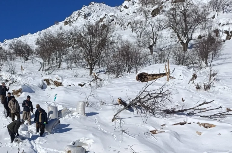 Ahırların üzerine çığ düştü, küçükbaş hayvanlar telef oldu 