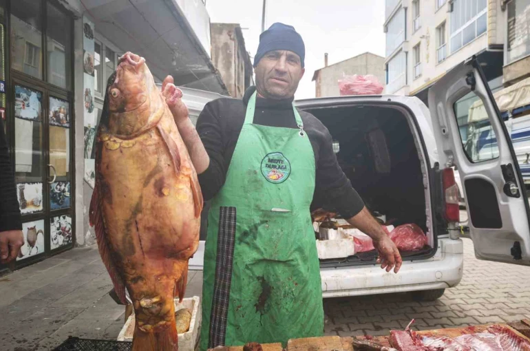 Ahlat’ta dev sazan balıklarına yoğun ilgi 