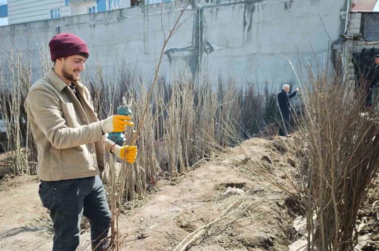 Ahlat’ta meyve fidanlarına ilgi 