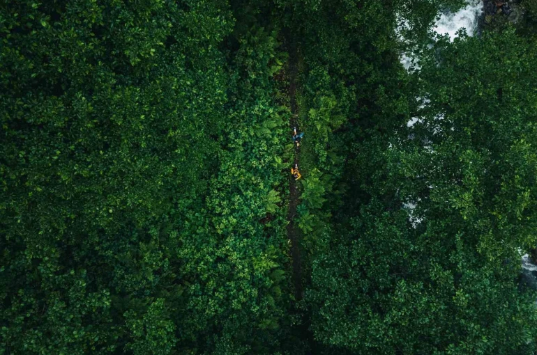 Ahmet Temurci, Rize’de düzenlenecek ’UTMB World Series’ hakkında bilgi verdi 