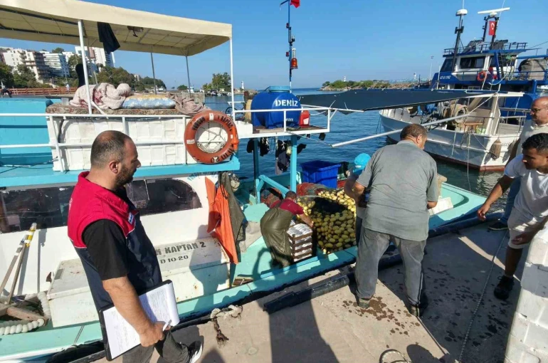 Akçakoca’da balıkçılar sezona hızlı başladı