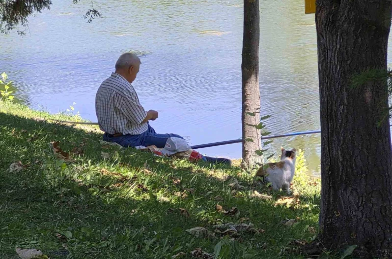 Akıllı sokak kedisi balık tutan adamın başından ayrılmadı