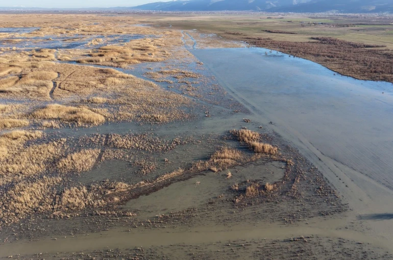 Akşehir Gölü'nde yıllardır görülmeyen oldu