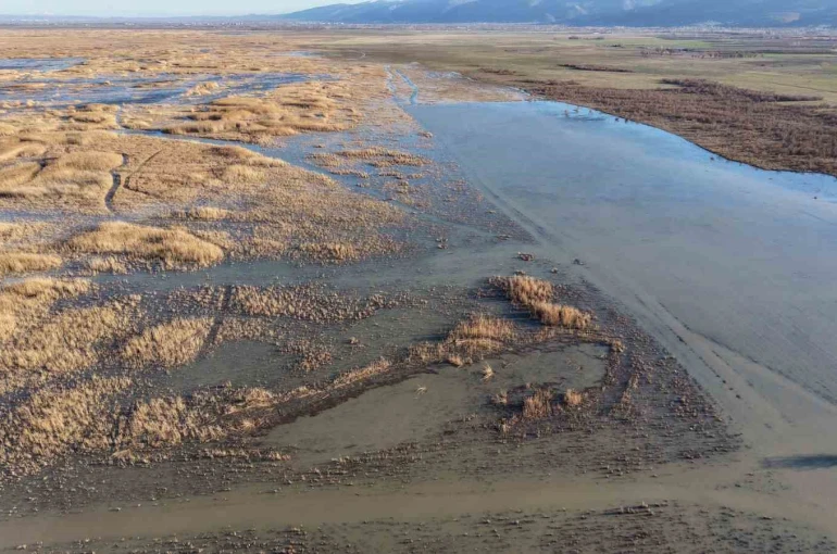Akşehir Gölü’nde yıllardır görülmeyen oldu 