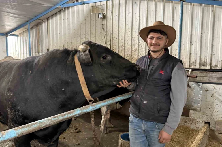 Aksiliklerinden kantara çıkamıyorlar: 4 yaşındaki dev tosunları gören bir daha bakıyor 