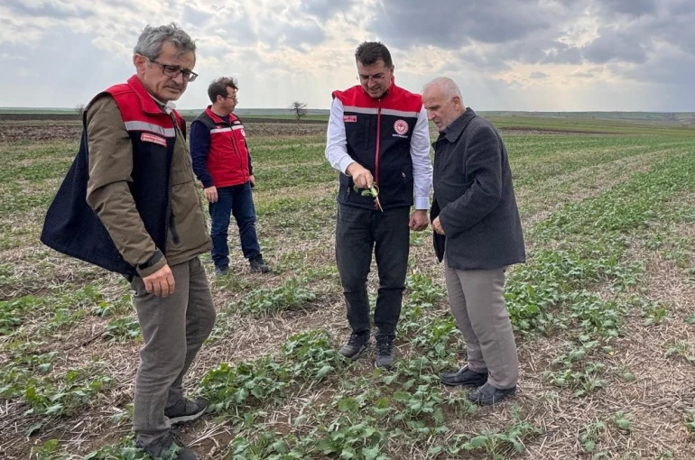 Aksoy: "Anıza ekim, yağmurun emilimini artırır ve buharlaşmayı azaltarak rutubeti toprakta tutar"