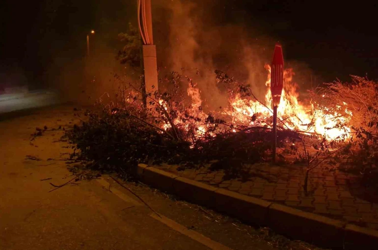 Alaca’da çıkan örtü yangını söndürüldü